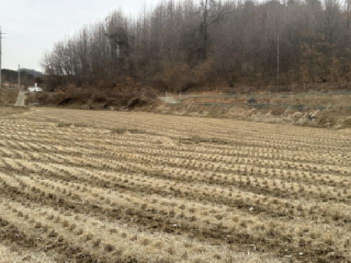 충북 청주시 서원구 남이면 대지,임야,전답 경매 물건 사진