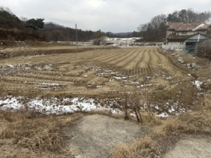 충북 청주시 서원구 남이면 대지,임야,전답 경매 물건 사진 2 · 2026타경50007