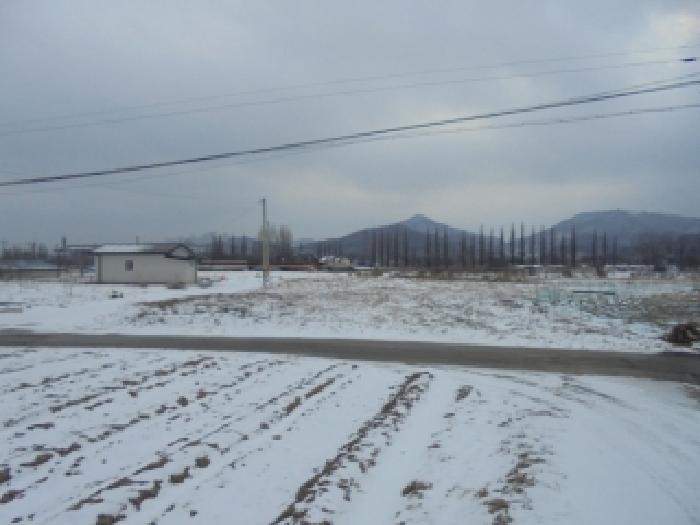 충북 진천군 진천읍 대지,임야,전답 경매 물건 사진