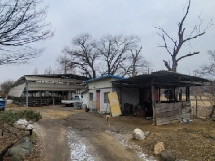 충북 청주시 청원구 북이면 동물및식물관련시설 경매 물건 사진 3 · 2026타경50032