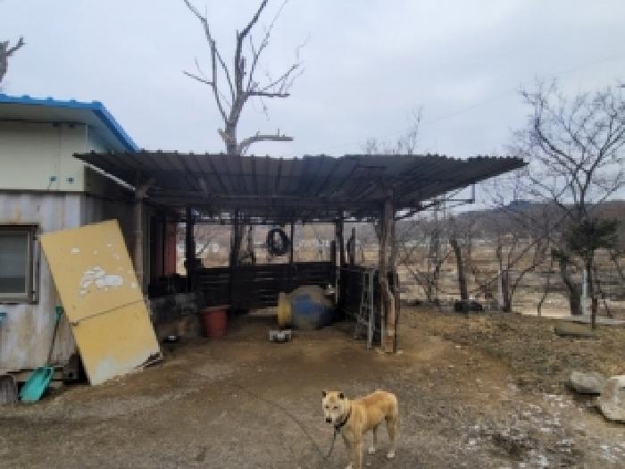 충북 청주시 청원구 북이면 동물및식물관련시설 경매 물건 사진 6 · 2026타경50032