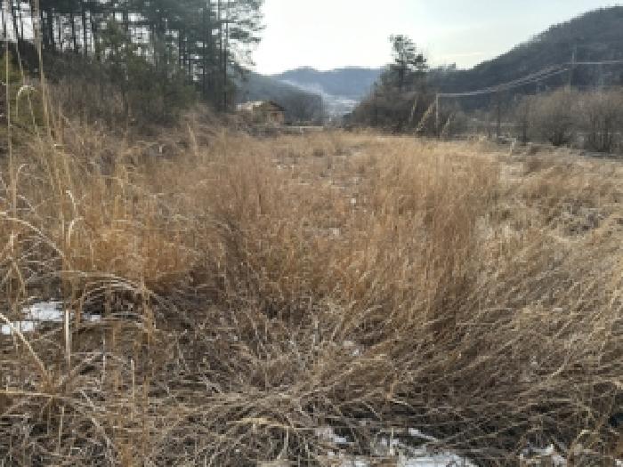 충북 청주시 상당구 미원면 임야 경매 물건 사진
