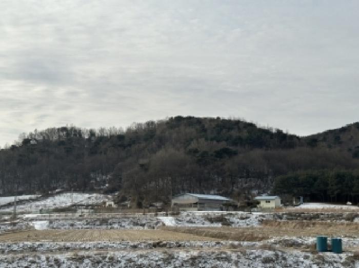 충북 청주시 상당구 낭성면 전 경매 물건 사진