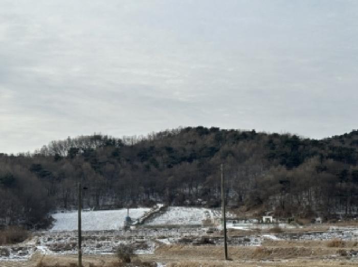 충북 청주시 상당구 낭성면 전 경매 물건 사진 2 · 2026타경50049