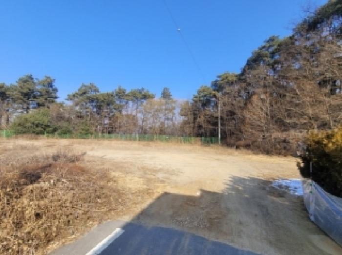 충북 증평군 증평읍 대지 경매 물건 사진