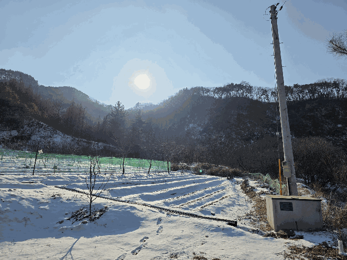 충북 괴산군 소수면 임야 경매 물건 사진 4 · 2026타경50073
