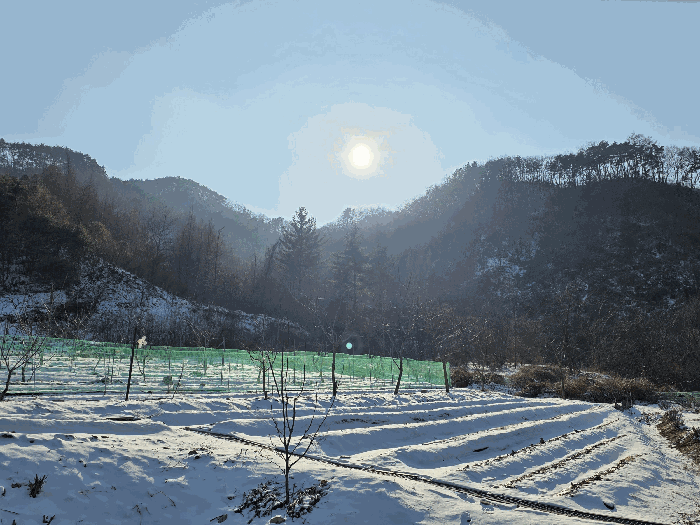 충북 괴산군 소수면 임야 경매 물건 사진 5 · 2026타경50073