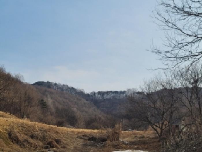 충북 괴산군 소수면 임야 경매 물건 사진