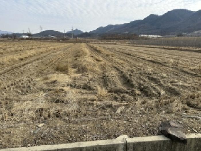 충북 보은군 삼승면 전답 경매 물건 사진