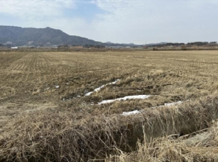충북 보은군 삼승면 전답 경매 물건 사진 2 · 2026타경50085