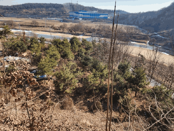 충북 진천군 이월면 임야 경매 물건 사진 6 · 2026타경50087
