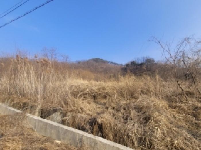 충북 청주시 청원구 내수읍 전답 경매 물건 사진