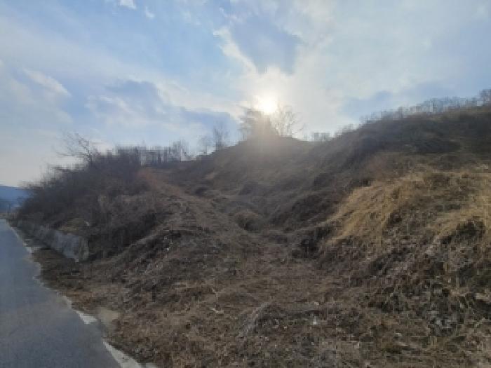 충북 괴산군 괴산읍 임야 경매 물건 사진