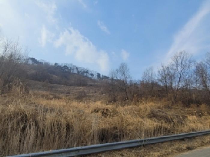 충북 괴산군 괴산읍 임야 경매 물건 사진 3 · 2026타경50119