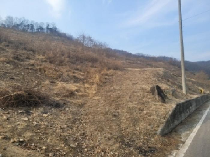 충북 괴산군 괴산읍 임야 경매 물건 사진 4 · 2026타경50119