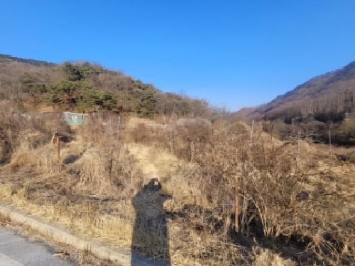 충북 괴산군 장연면 전 경매 물건 사진