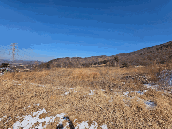충청북도 청주시 청원구 내수읍 초정리 산44-23 전 경매 물건 사진