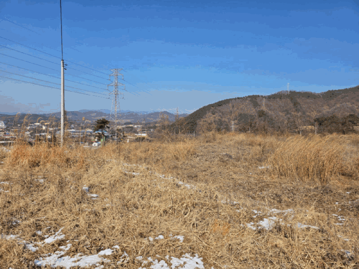 충북 청주시 청원구 내수읍 전 경매 물건 사진 5 · 2026타경50151