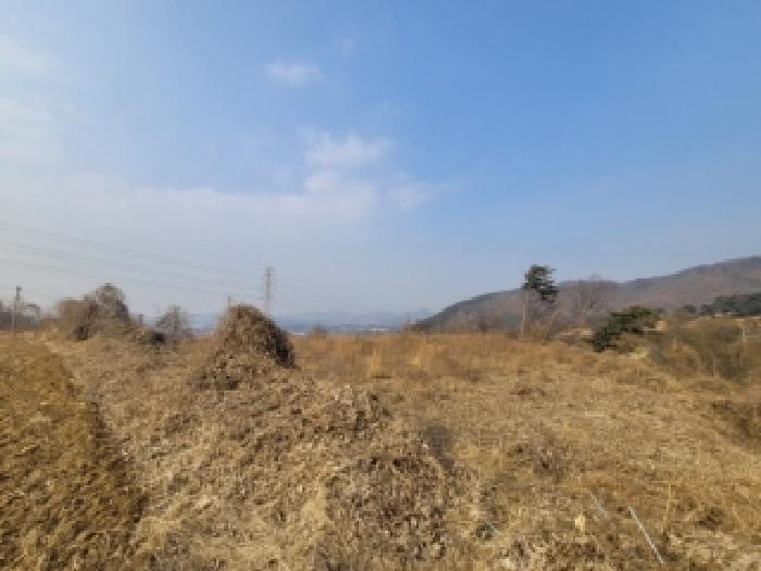 충북 청주시 청원구 내수읍 전 경매 물건 사진