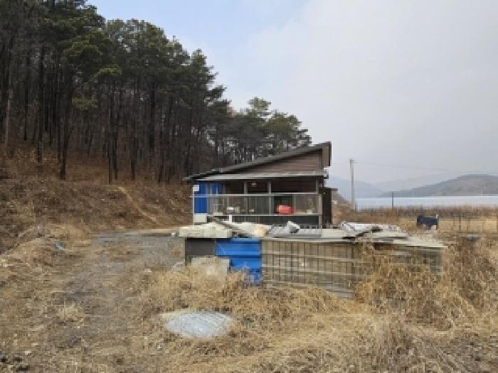 충청북도 보은군 보은읍 강신리 164-3 주1동 단독주택 경매 물건 사진