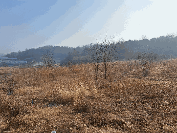 충청북도 청주시 서원구 남이면 가마리 328-1 대지,임야,전답 경매 물건 사진