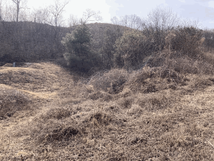 충북 진천군 백곡면 임야 경매 물건 사진 4 · 2026타경50175