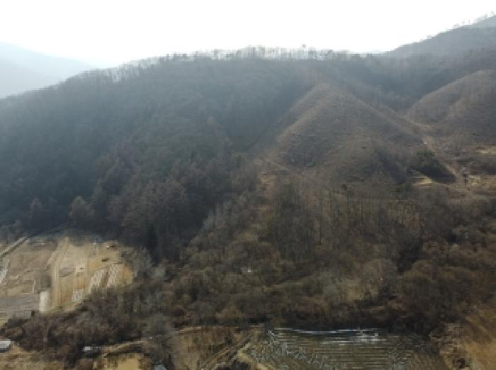 충북 진천군 백곡면 임야 경매 물건 사진
