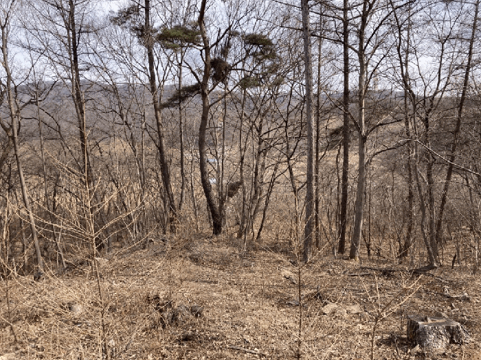 충북 진천군 백곡면 임야 경매 물건 사진 3 · 2026타경50175
