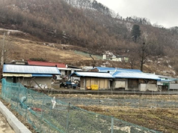 충북 청주시 상당구 낭성면 임야 경매 물건 사진