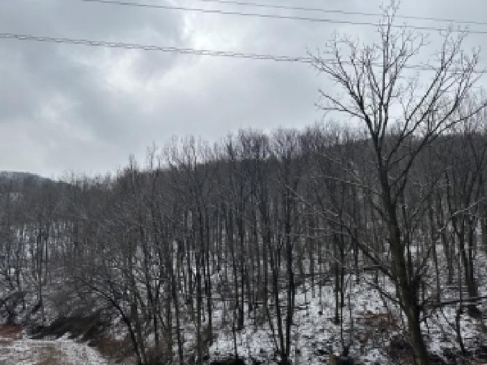 충북 청주시 상당구 낭성면 임야 경매 물건 사진 3 · 2026타경50182