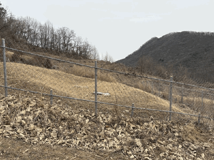 충북 괴산군 장연면 전답 경매 물건 사진 3 · 2026타경50187