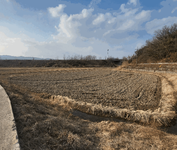 충북 보은군 보은읍 전답 경매 물건 사진 3 · 2026타경50188