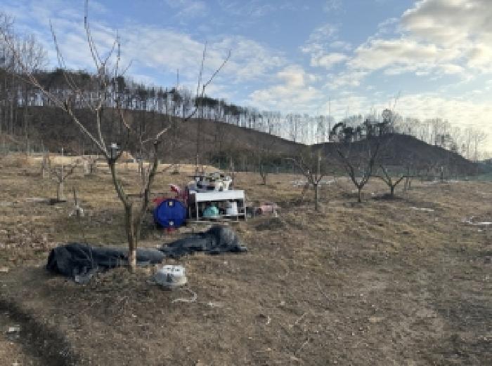 충북 보은군 보은읍 전 경매 물건 사진 2 · 2026타경50193