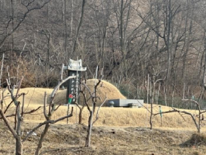 충북 보은군 보은읍 전 경매 물건 사진 3 · 2026타경50193