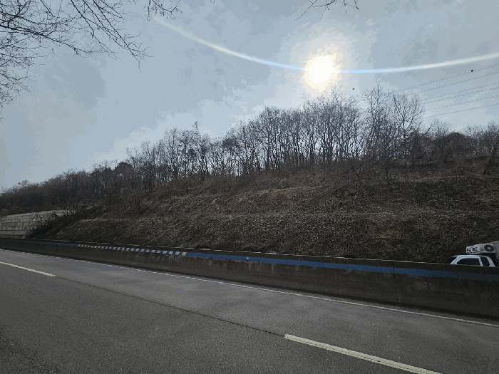 충북 청주시 서원구 성화동 임야 경매 물건 사진 4 · 2026타경50207