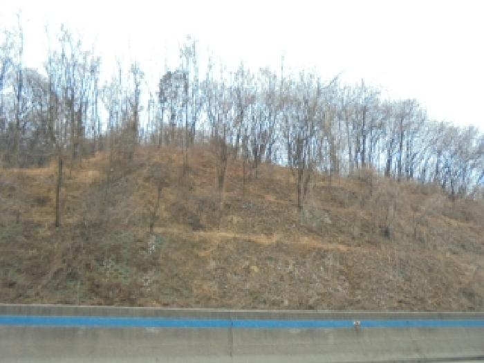 충북 청주시 서원구 성화동 임야 경매 물건 사진