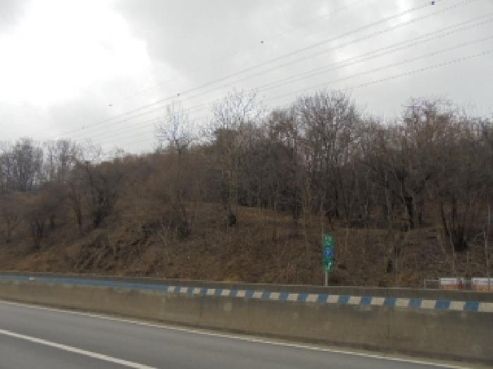 충북 청주시 서원구 성화동 임야 경매 물건 사진 2 · 2026타경50207