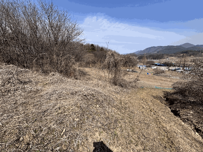 충북 괴산군 청천면 전 경매 물건 사진 5 · 2026타경50284