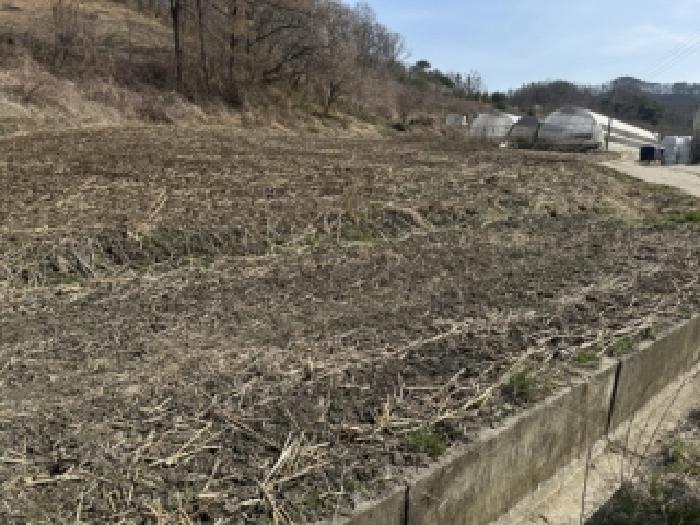 충북 보은군 수한면 전답 경매 물건 사진