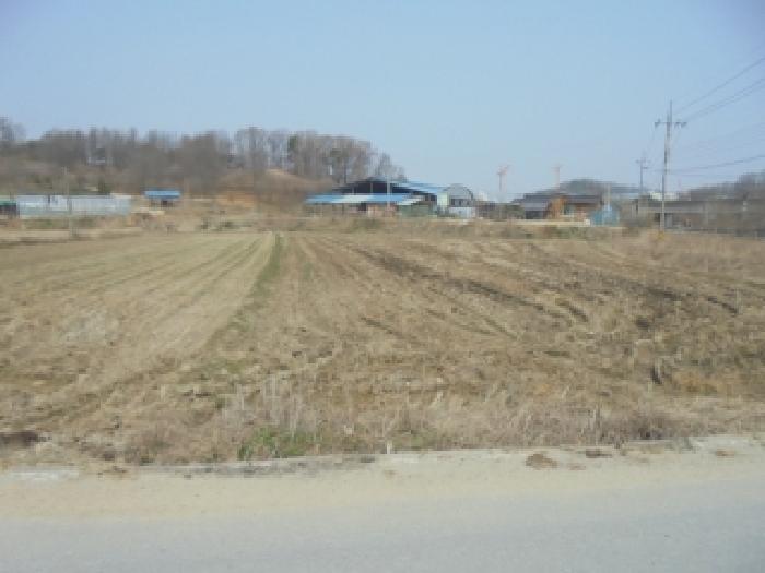 충북 청주시 흥덕구 현암동 전답 경매 물건 사진