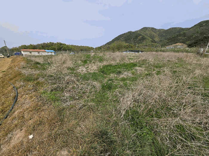 충북 보은군 삼승면 전답 경매 물건 사진 6 · 2026타경50361