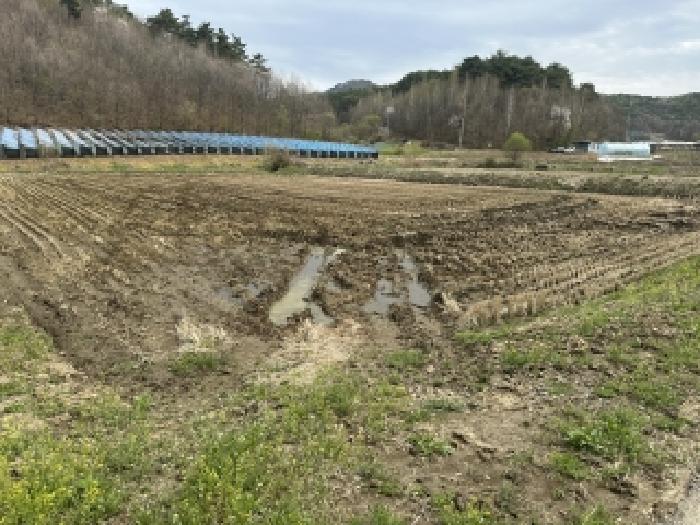 충북 보은군 산외면 전답 경매 물건 사진