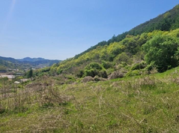 충북 괴산군 청천면 대지,임야,전답 경매 물건 사진