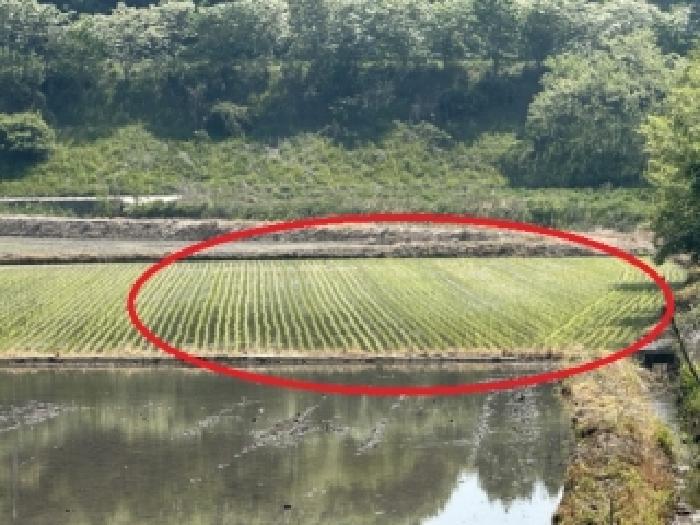 충북 보은군 삼승면 전답 경매 물건 사진