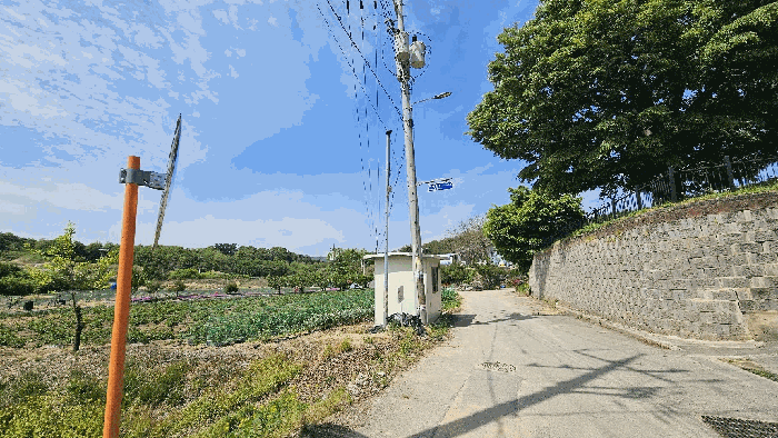 충북 증평군 증평읍 임야 경매 물건 사진 6 · 2026타경50475
