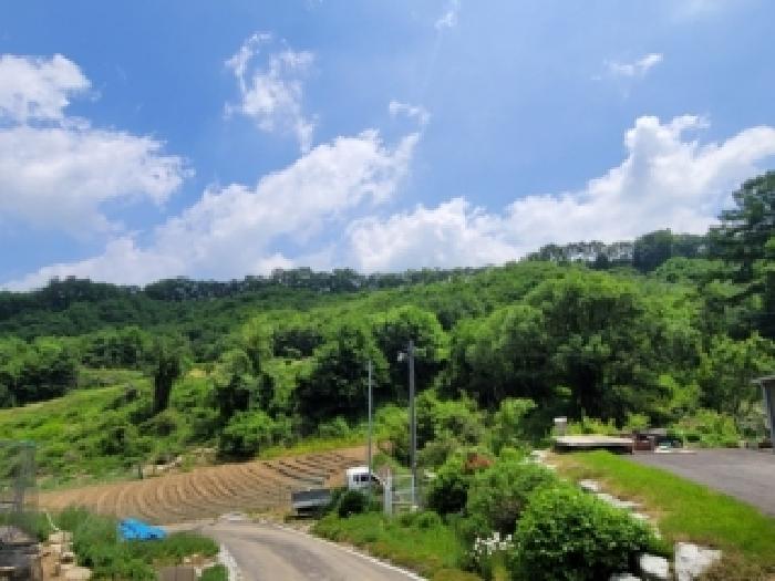 충북 괴산군 괴산읍 임야 경매 물건 사진