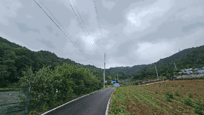 충북 괴산군 괴산읍 임야 경매 물건 사진 3 · 2026타경50544