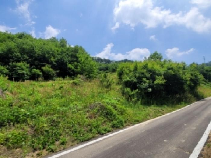 충북 괴산군 괴산읍 임야 경매 물건 사진 2 · 2026타경50544
