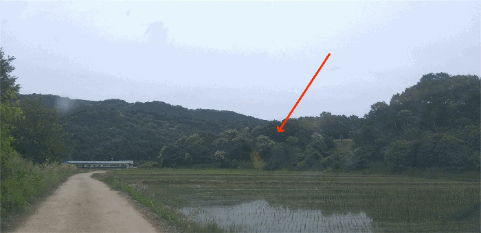 충북 진천군 진천읍 대지,임야,전답 경매 물건 사진 5 · 2026타경50609
