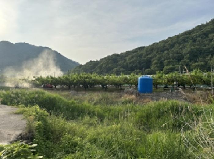 충북 보은군 마로면 대지,임야,전답 경매 물건 사진 2 · 2026타경50627